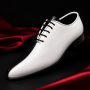 Pantofi barbati de ceremonie din piele naturala doua culori MOD1AN